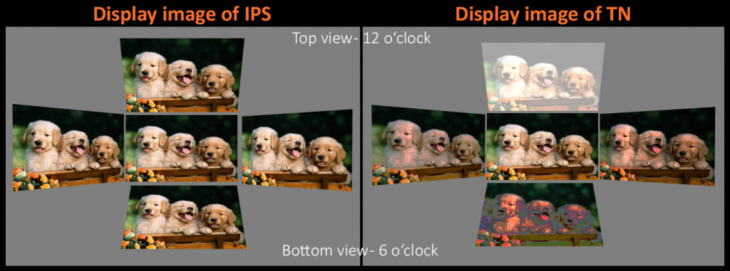 IPS vs TN